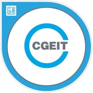 CGEIT certified team